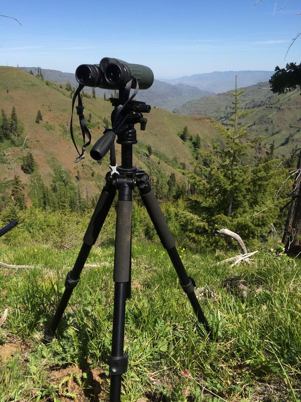 Pro GT Tripod